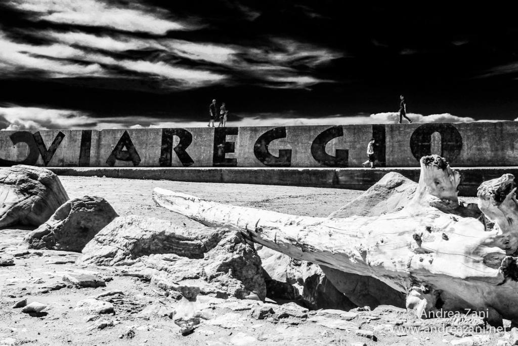 Sol&Mare Hotel Viareggio Luaran gambar